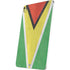 Guyana Flag Distressed iPad Pro 13in M4 (2024) Skin